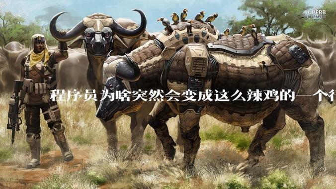 程序员为啥突然会变成这么辣鸡的一个行业？