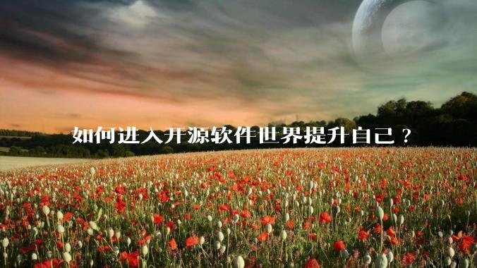 如何进入开源软件世界提升自己?