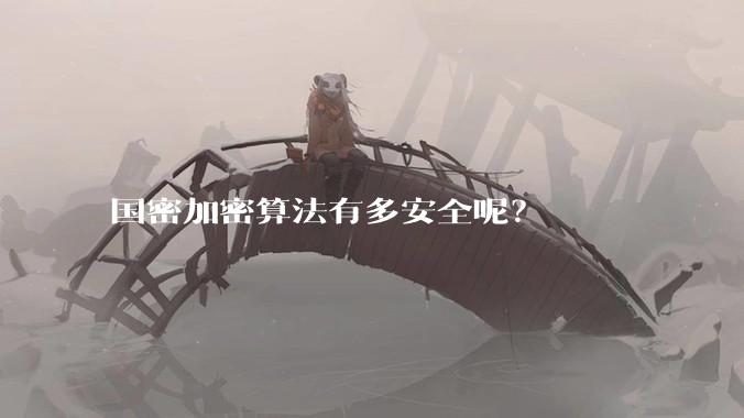 国密加密算法有多安全呢？